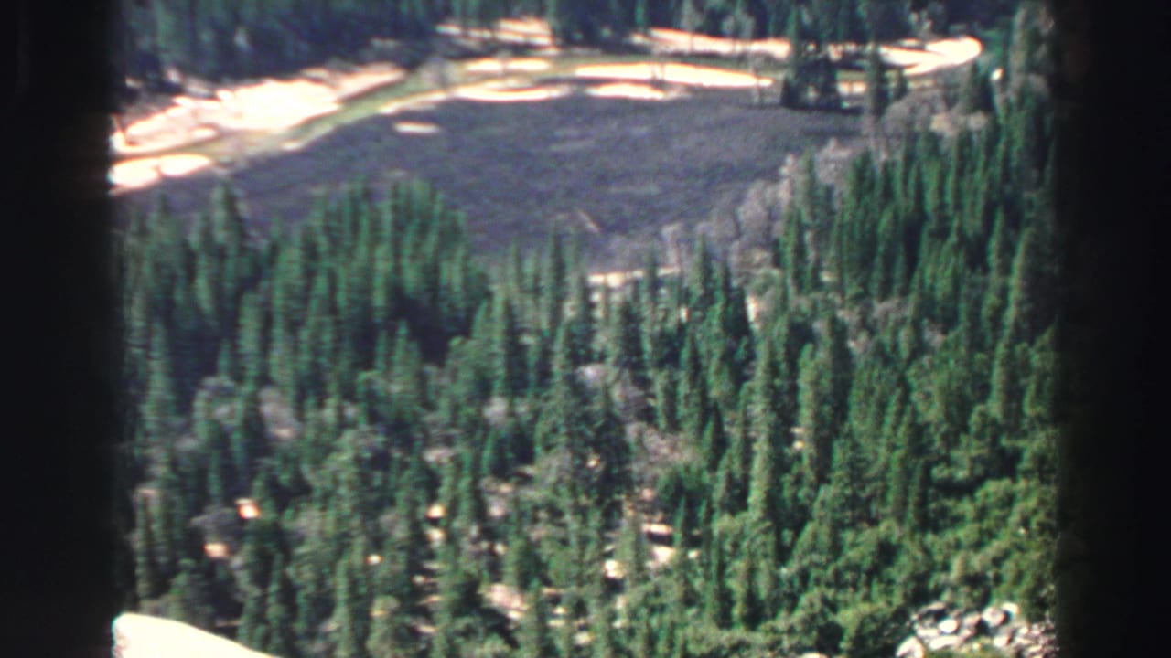 1969 Lake Tahoe-area 8mm frame with dense evergreen trees in the foreground and a pale open area beyond the forest.