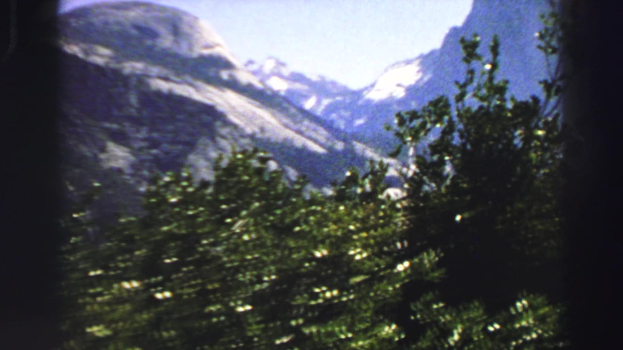 Leafy trees in front of distant mountain slopes and snowy peaks.