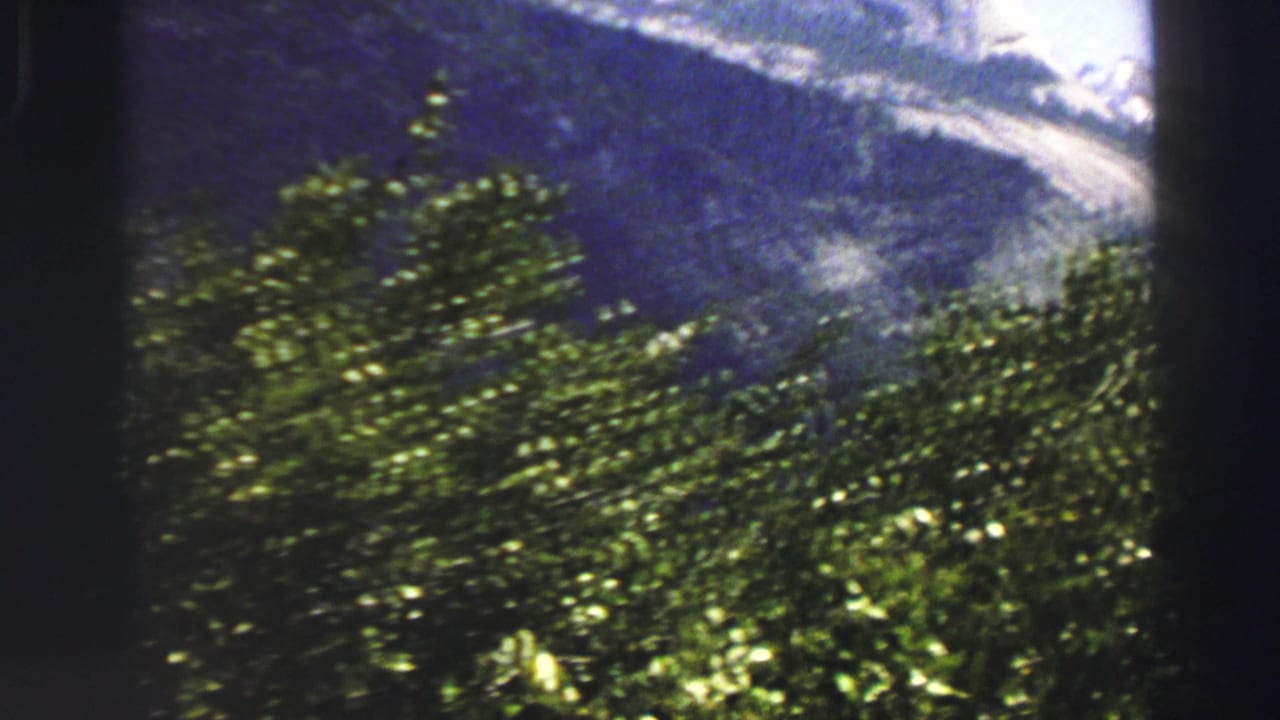 Blurred green foliage with a large mountain slope behind it.