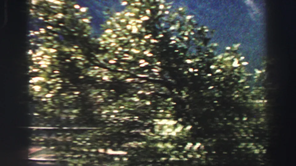 1969 8mm travel frame with leafy branches and strong motion blur during a pan across the overlook.