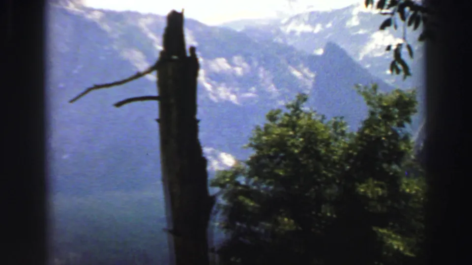 1969 Lake Tahoe home-movie frame showing a silhouetted trunk, green foliage, hazy valley, and mountain ridges beyond.