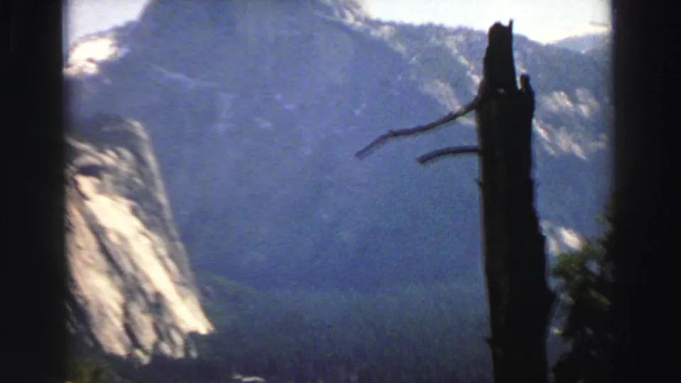 1969 Lake Tahoe scenic frame with a dark tree trunk, pale rocky slope, forested valley, and blue mountain backdrop.