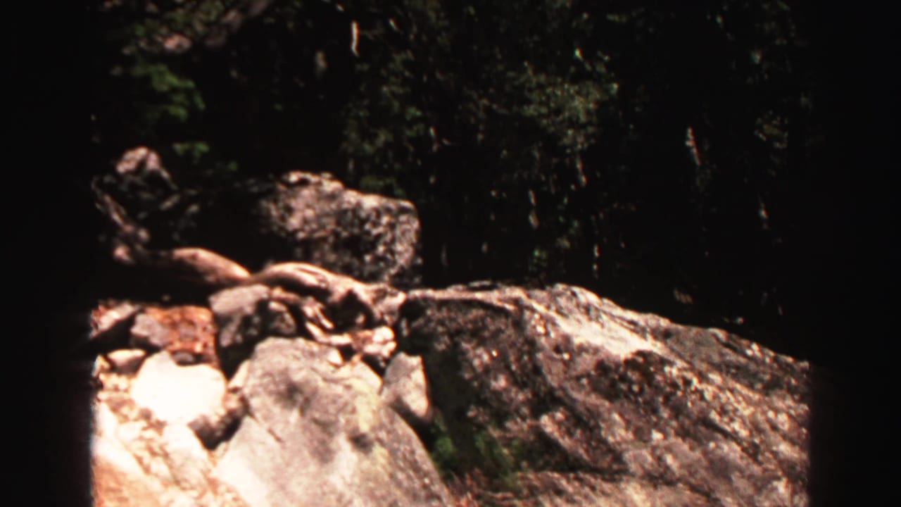Sunlit granite rocks and dark evergreen trees in a forest setting.