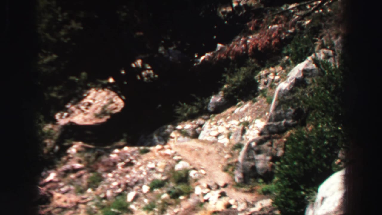 Rocky forest path leading toward a waterfall area, with dark tree shadows and pale stones.