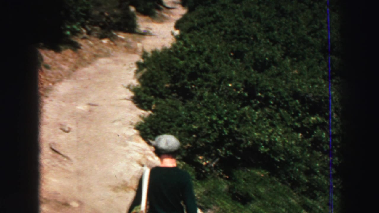 A hiker walks away on a sandy dirt trail beside green shrubs.