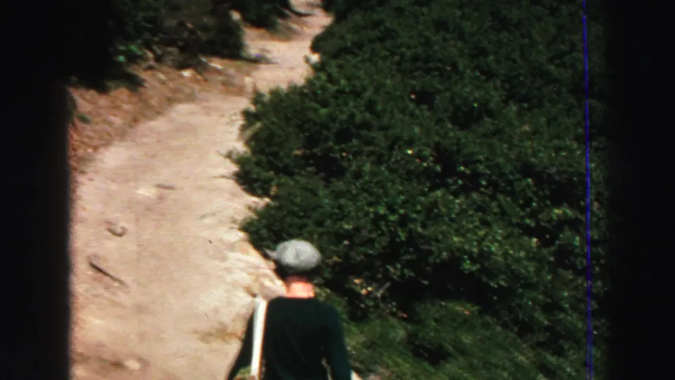 1969 Lake Tahoe-area home-movie frame following a hiker from behind on a sunlit dirt path through dense green vegetation.