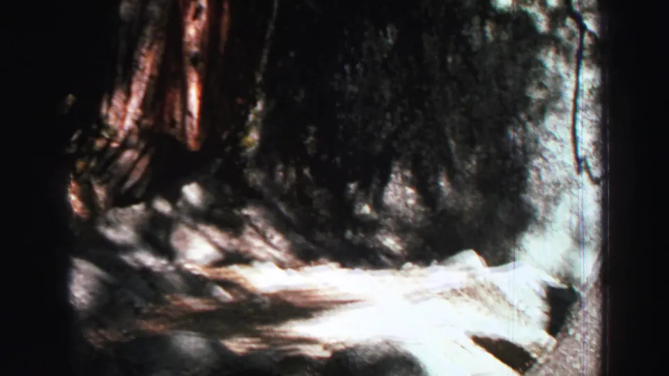 Lake Tahoe 8mm frame showing a shadowed trail or rock passage with trunks, stones, and overexposed sunlight.
