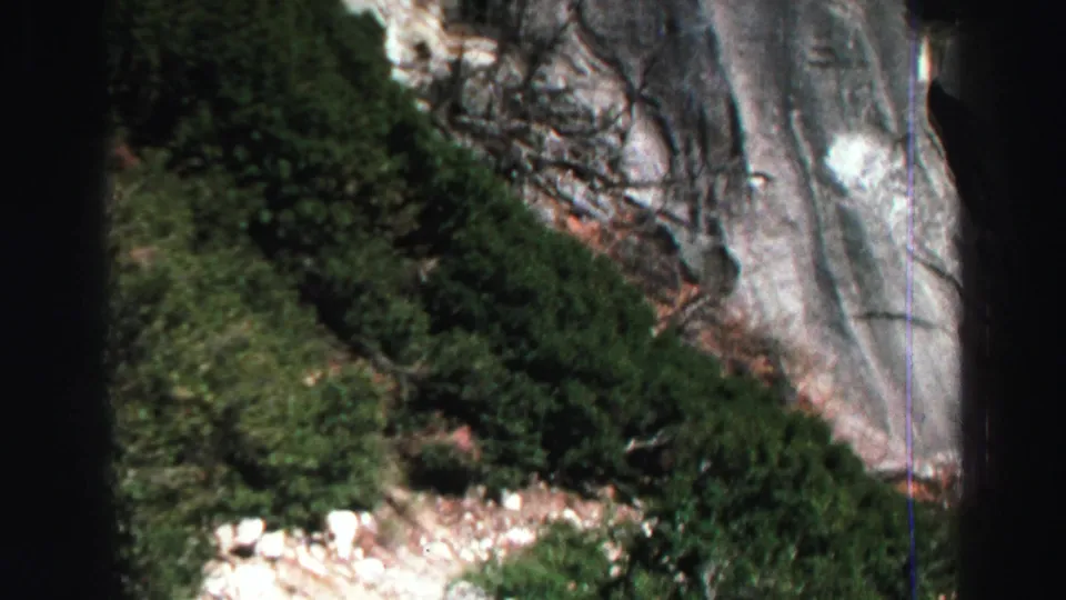 1969 Lake Tahoe home-movie frame showing dense green foliage at the base of a pale, steep rock face.