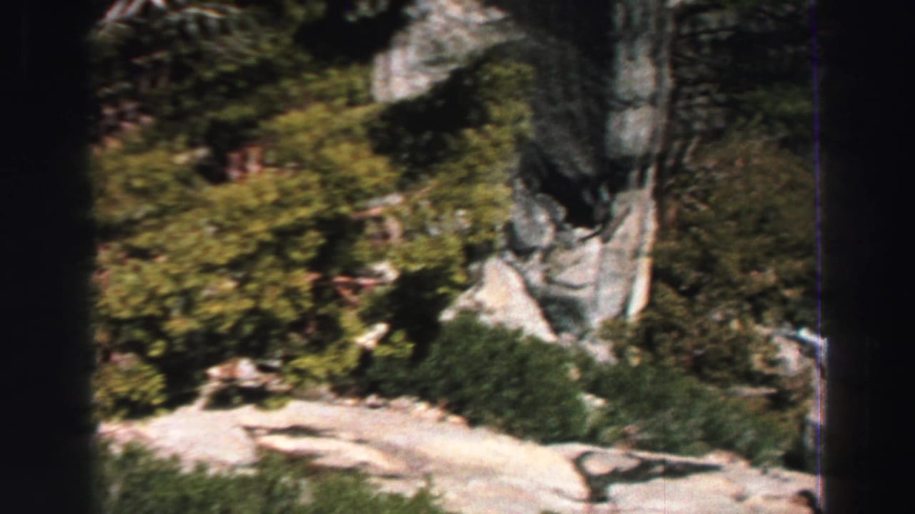 Rocky forested slope with pale granite, shrubs, and evergreen trees seen from above.