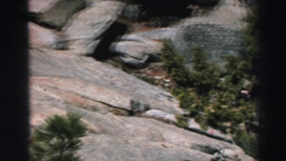 1969 Lake Tahoe frame showing cracked pale granite, scattered shrubs, and small evergreens during a handheld pan.