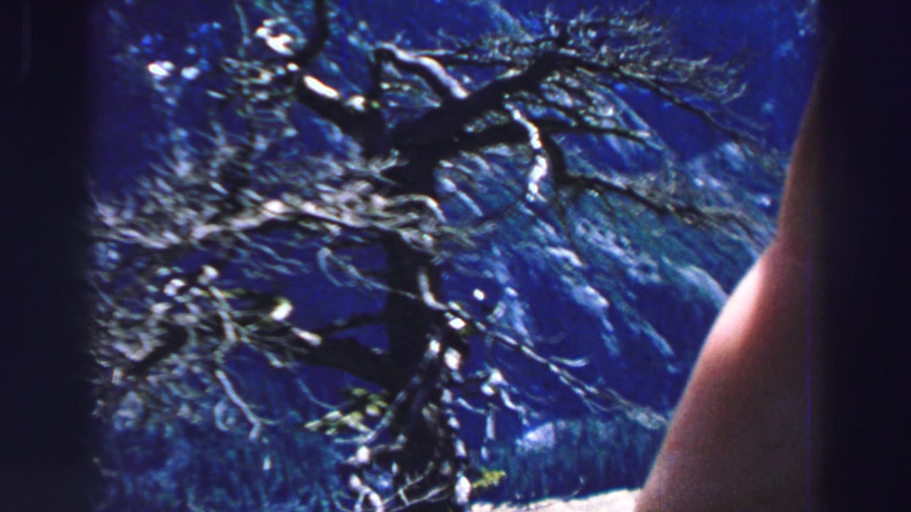 Lake Tahoe mountain view on 8mm film with bare branches, blue-toned peaks, and a hand at the frame edge.