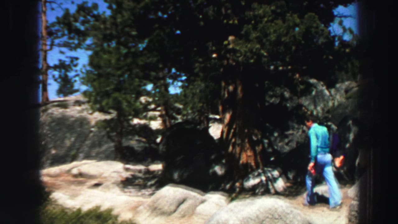Man walks away near large rocks and trees in bright daylight.