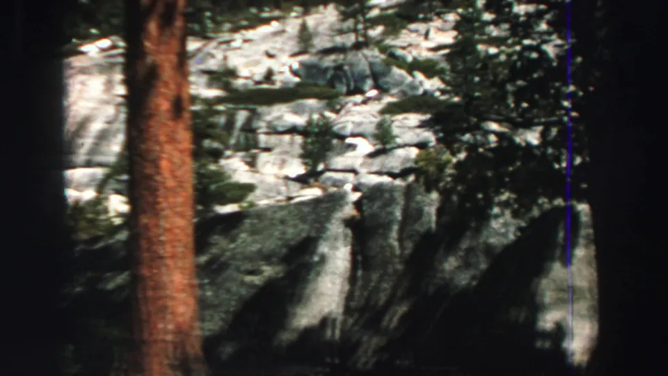1969 Lake Tahoe frame showing a reddish tree trunk before granite boulders, evergreens, and shadowed forest ground.