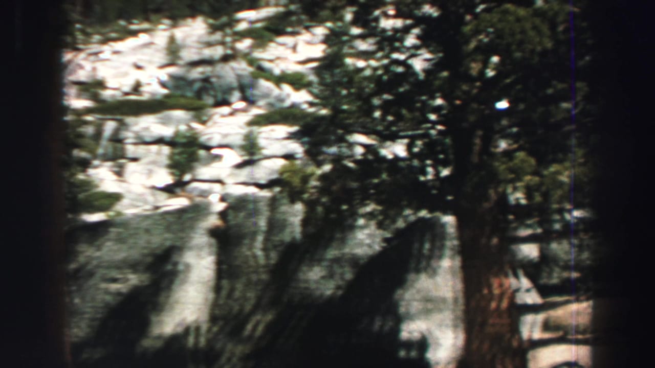 Evergreen trees and pale gray boulders on a sunlit mountain slope.