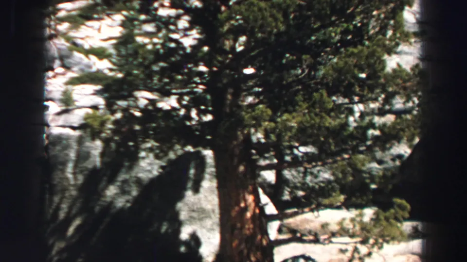 1969 Lake Tahoe home-movie frame with tall evergreens, rugged gray boulders, and strong sunlit contrast.
