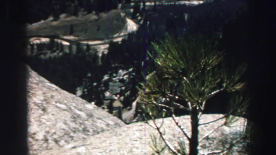 Lake Tahoe-area 1969 frame looking past a small evergreen and pale rocks toward a wooded valley and road below.