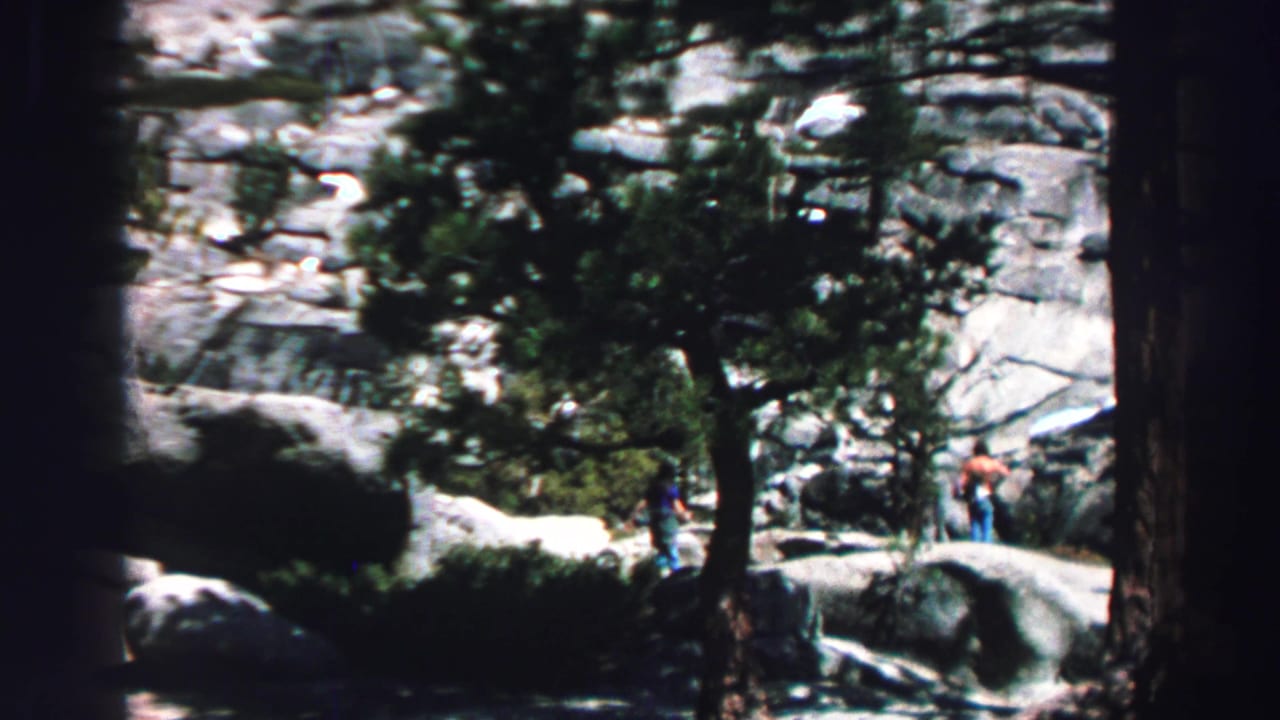 Two distant hikers stand or walk near boulders under pine trees.