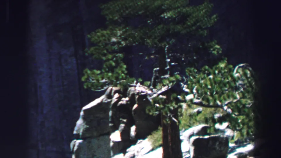 Final Lake Tahoe frame looking across pine branches, granite rocks, and shaded forest growth in the 1969 8mm footage.