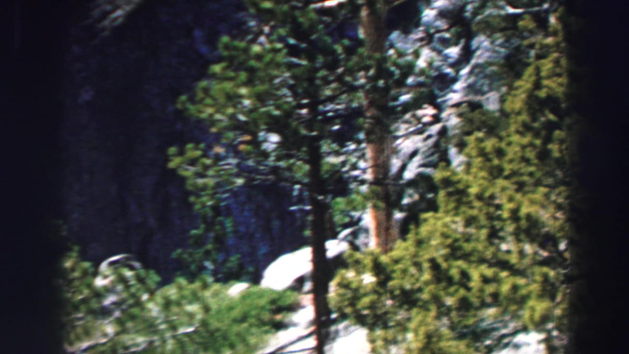 Rocky forest terrain with trees, shrubs, and a dark vertical blur near center.