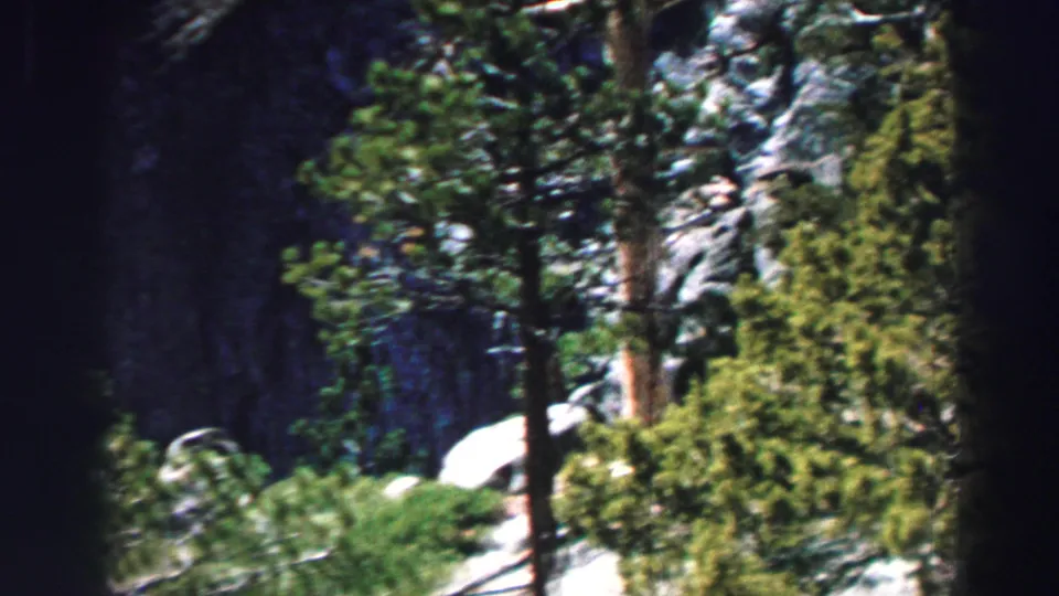 Lake Tahoe forest terrain on 8mm film, with evergreen trees, rocky ground, and a dark central blur from the handheld shot.