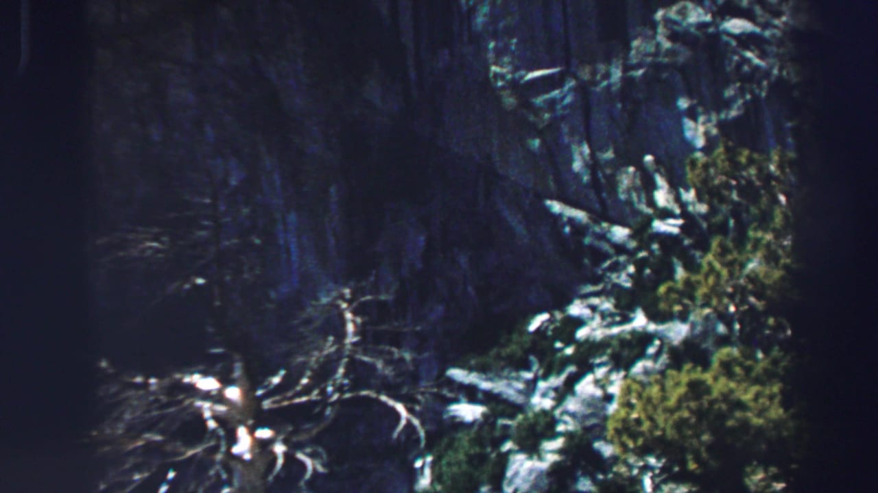 Shadowed cliff face with bare branches, rocks, and green brush along the right edge.