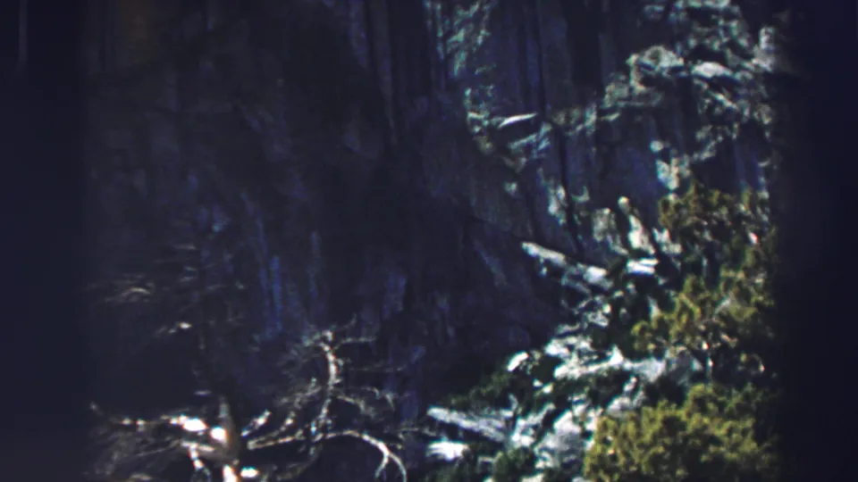 1969 Lake Tahoe 8mm frame showing twisted pale branches, shrubs, and a dark wooded rock slope.