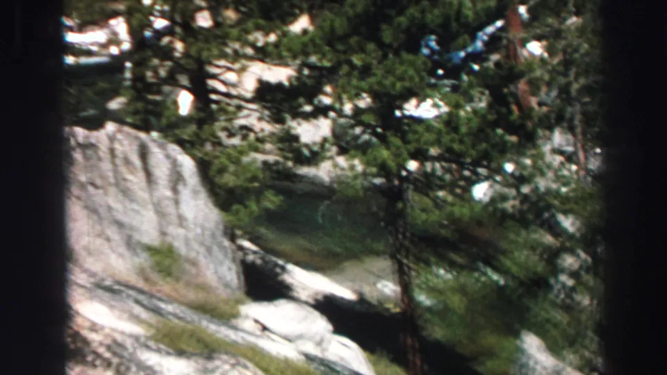 Lake Tahoe 8mm frame showing a tree-lined rocky slope and green stream water with whitewater along the lower edge.