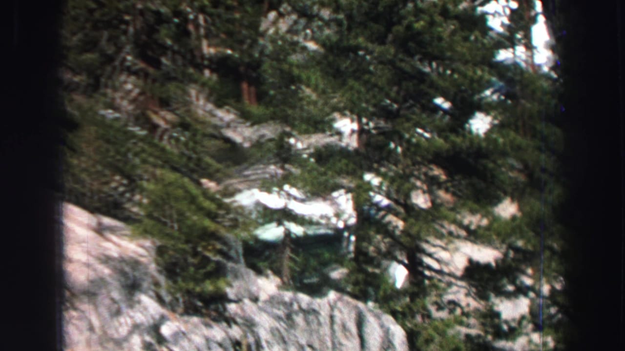 Rocky evergreen hillside with snow patches seen through trees.