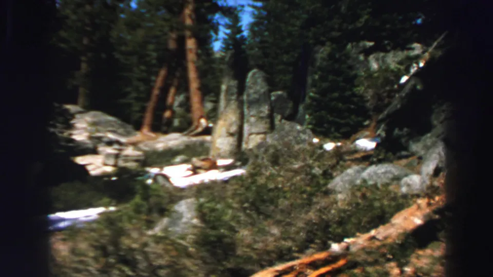 Rocky Lake Tahoe forest terrain with pine trunks, granite outcrops, shrubs, and lingering snow patches.