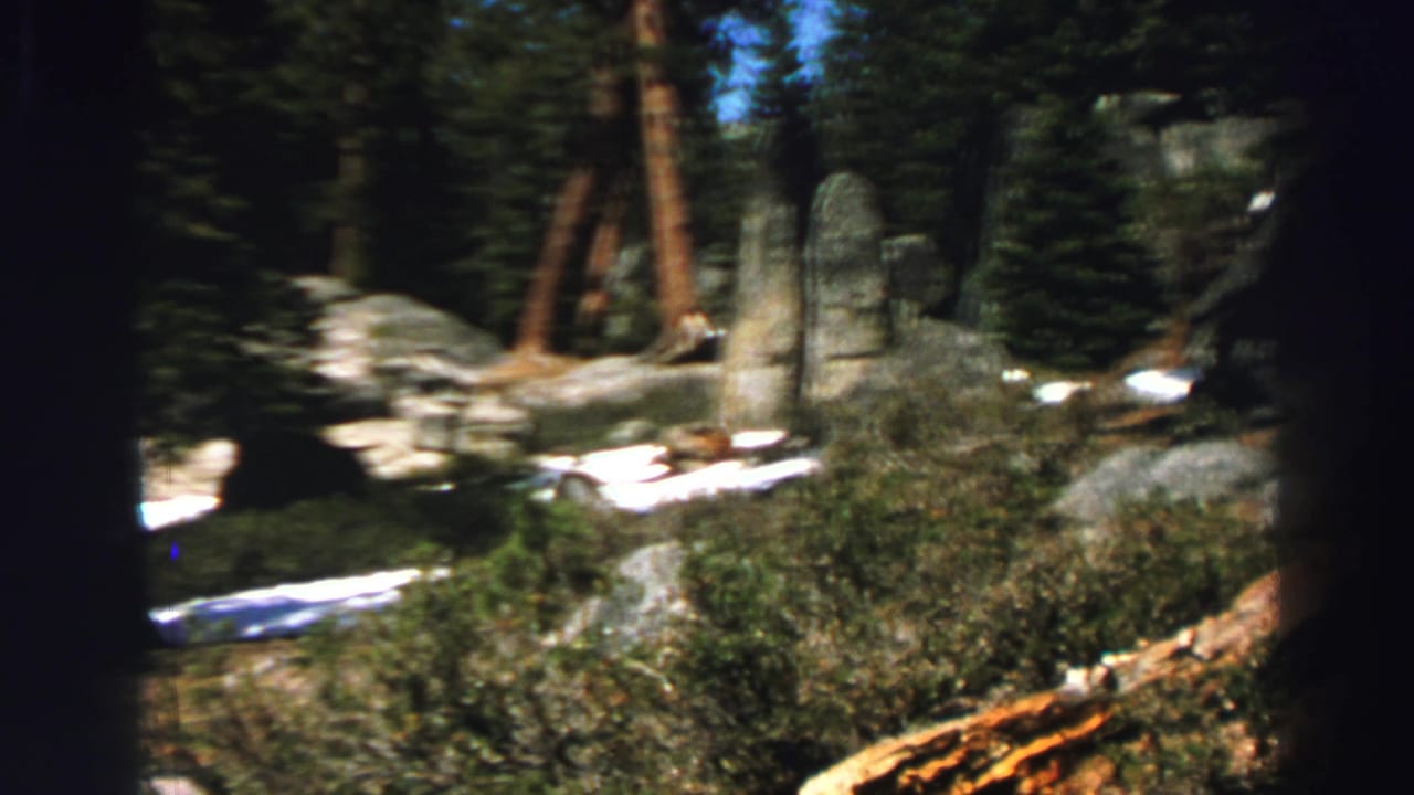 Pine forest with granite rocks, brush, and small snow patches on a sunlit hillside.