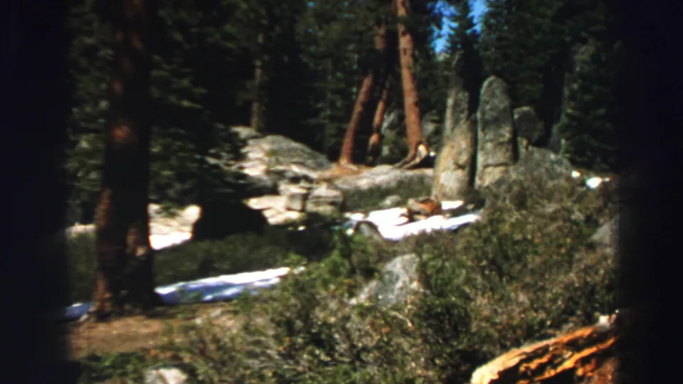 1969 Lake Tahoe frame of a rocky pine woodland, with shrubs and white snow patches visible among the boulders.