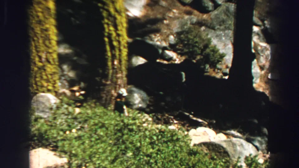 1969 Lake Tahoe frame with dark forest shadows, boulders, pine trunks, and dense green underbrush on uneven ground.