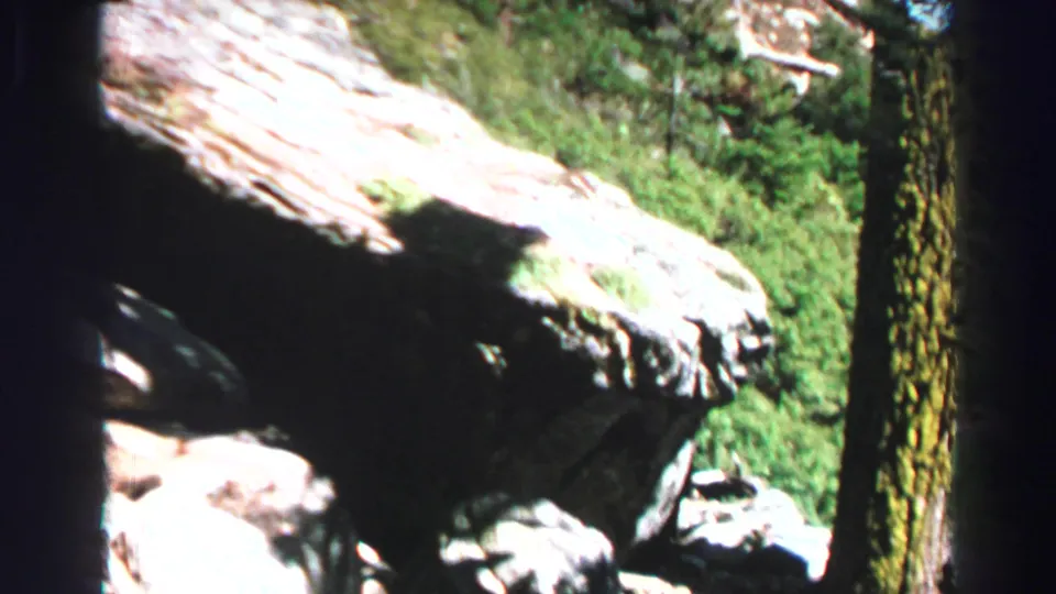 1969 Lake Tahoe frame showing a bright rock ledge, dark shadows, a pine trunk, and green hillside vegetation.