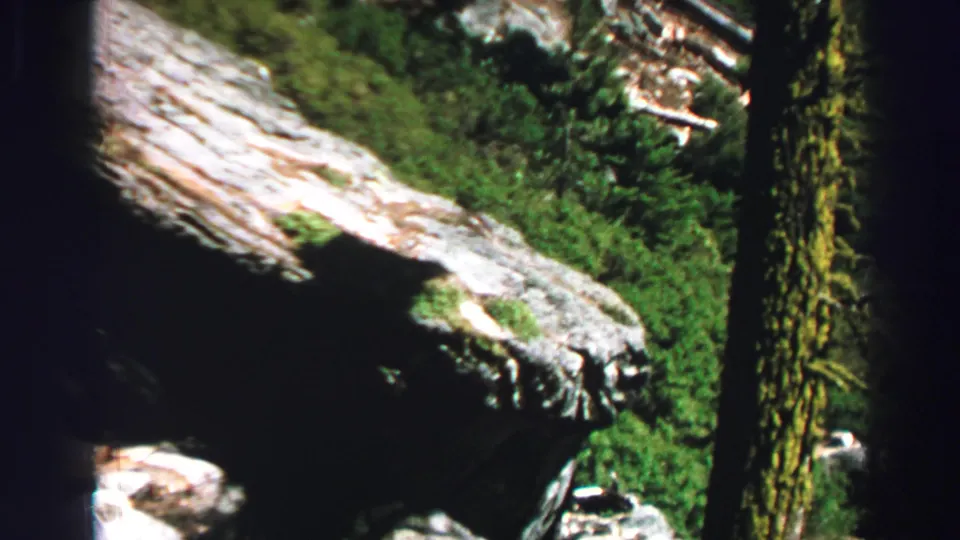 Vintage 8mm Lake Tahoe view of a sloping rock outcrop beside pine bark and dense green forest growth.