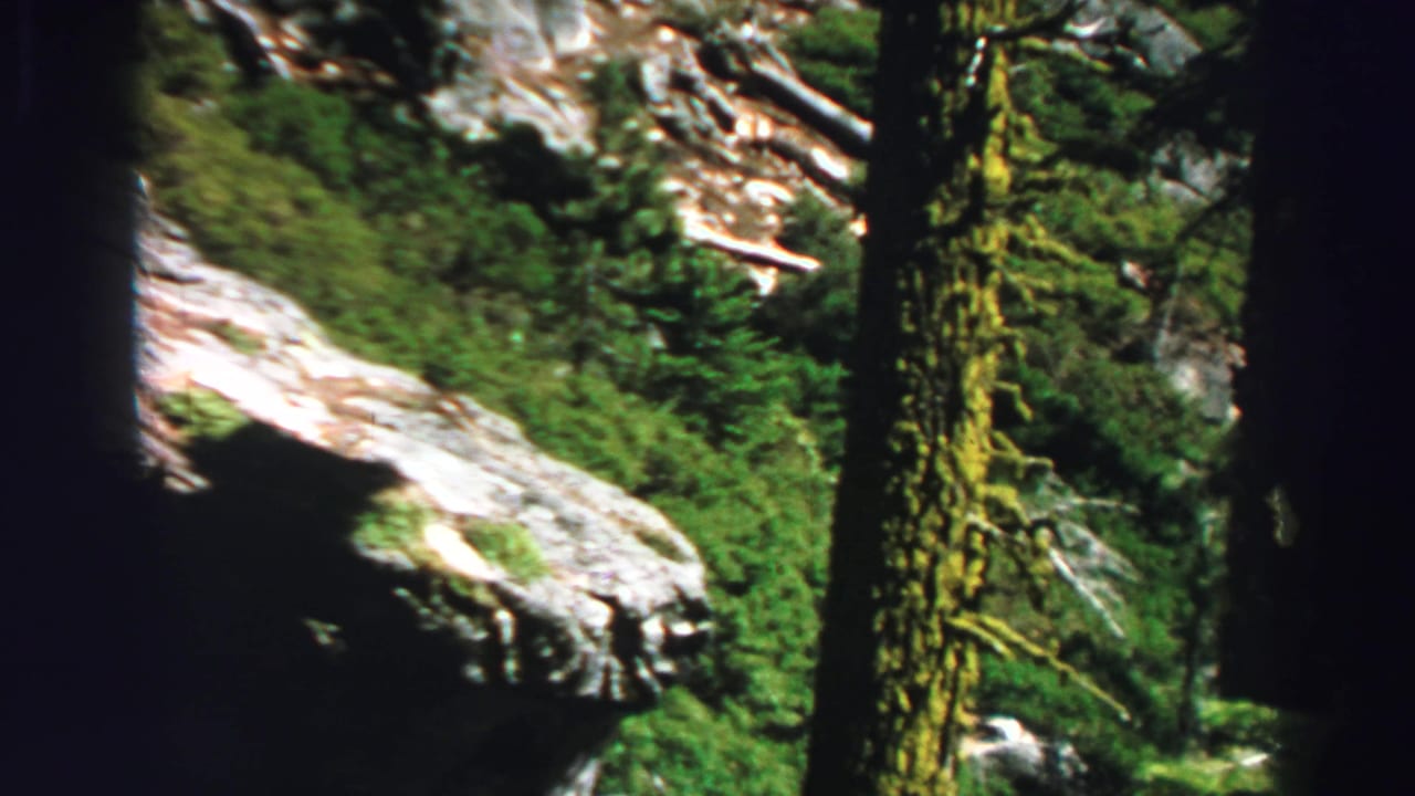 1969 Lake Tahoe-area 8mm frame showing a rugged forest trail between evergreen trunks and light granite rock.