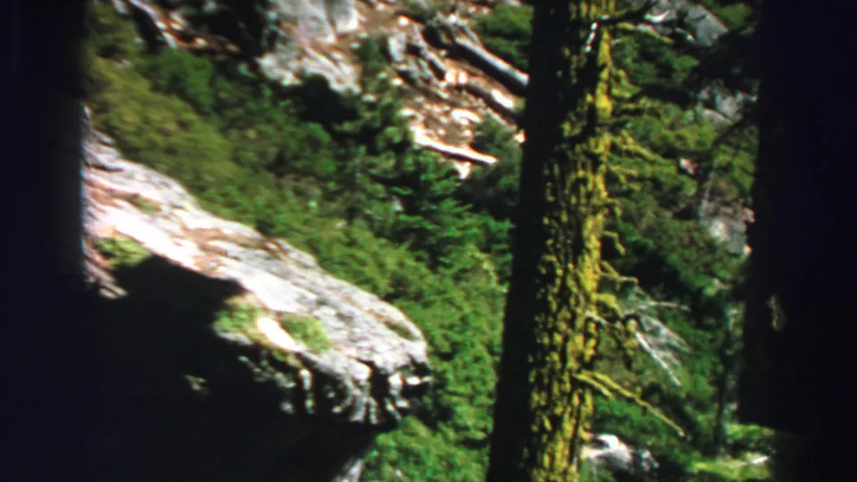 1969 Lake Tahoe-area 8mm frame showing a rugged forest trail between evergreen trunks and light granite rock.