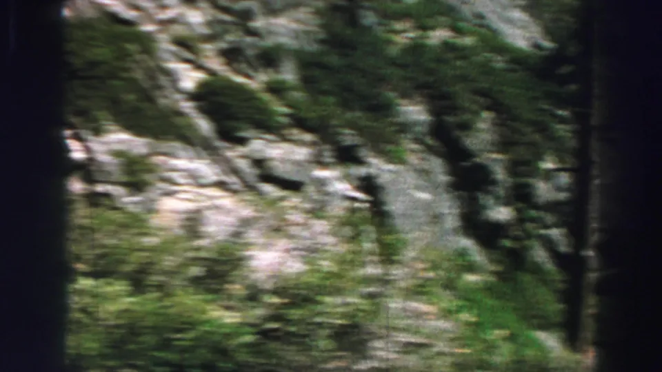 Handheld 8mm view of a rocky, tree-lined slope with green brush in the Lake Tahoe area.