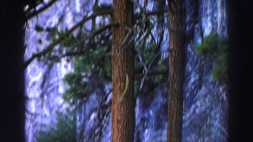 Handheld 1969 8mm view of pine trunks, dark branches, and blue-toned granite rock in the Lake Tahoe-area forest.