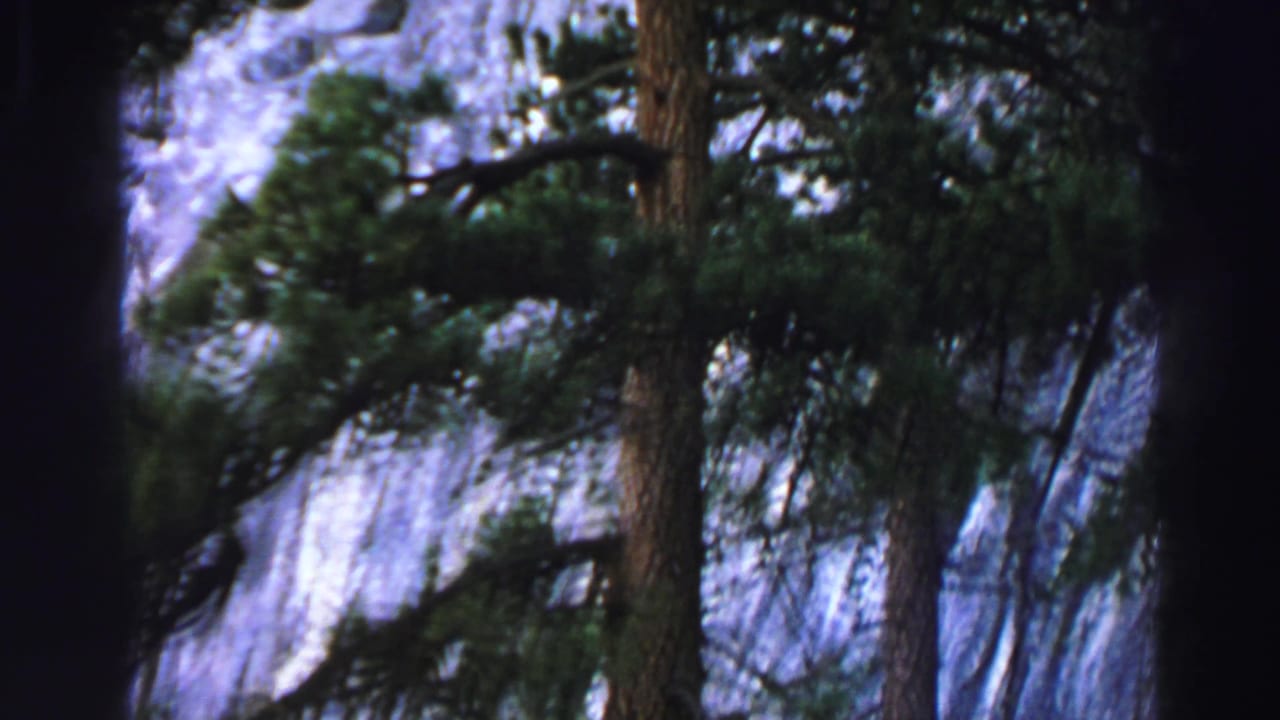 Pine branches and trunks frame a pale rocky mountain face.
