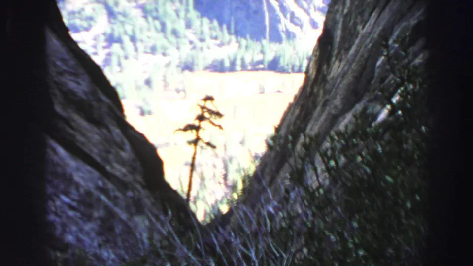 Lake Tahoe home-movie frame looking between tree trunks toward a bright mountain slope and distant evergreens.