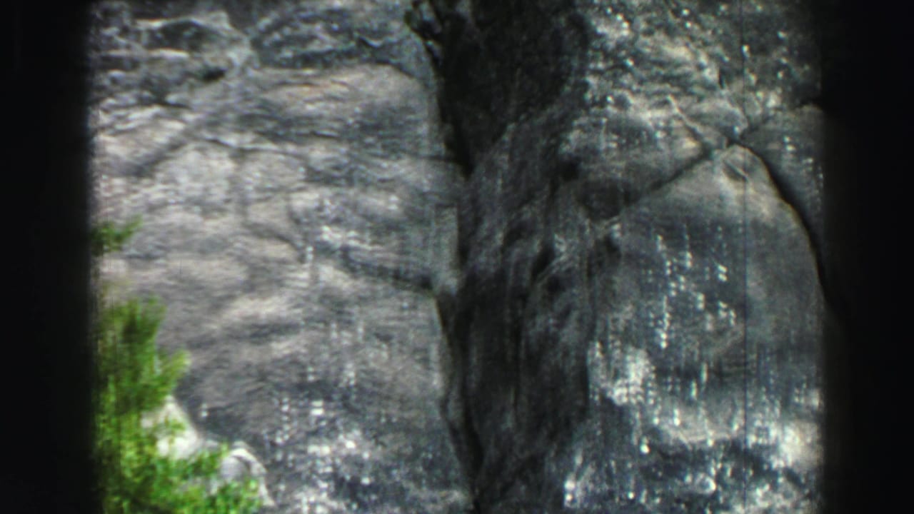 Shadowed granite canyon wall with sparse greenery and dark film borders.