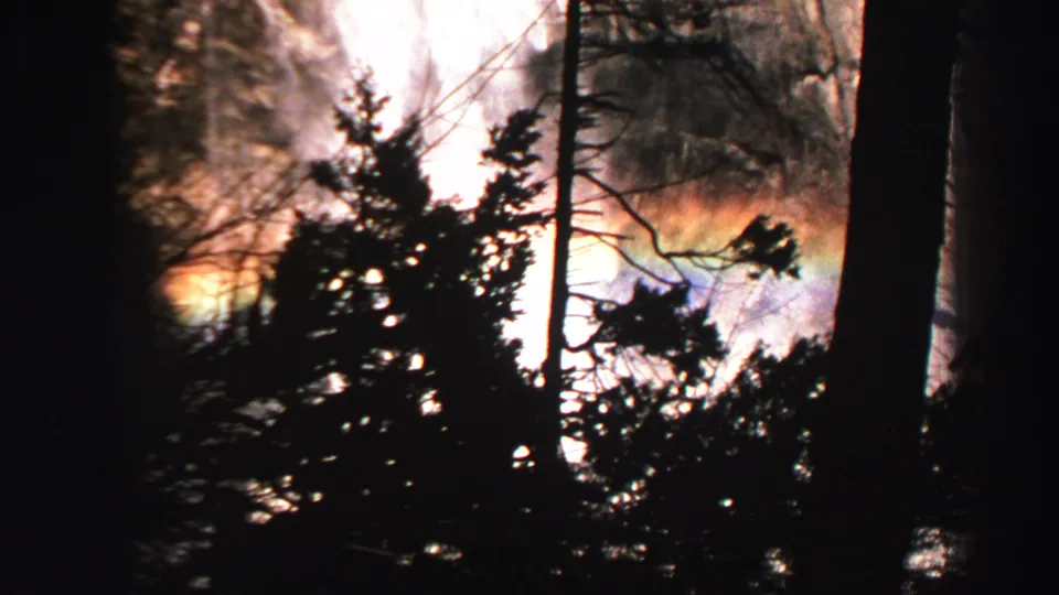 1969 home-movie view of a Lake Tahoe waterfall partly obscured by silhouetted evergreens and mist.