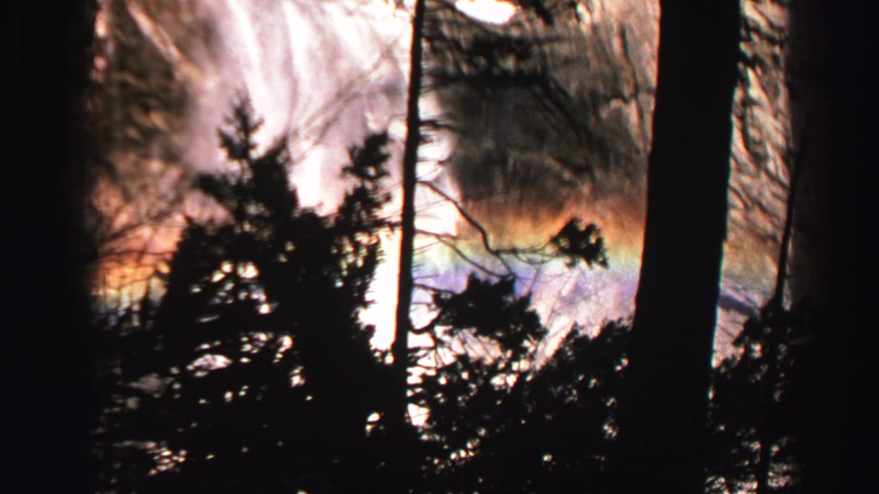 Waterfall and mist seen through dark evergreen silhouettes.