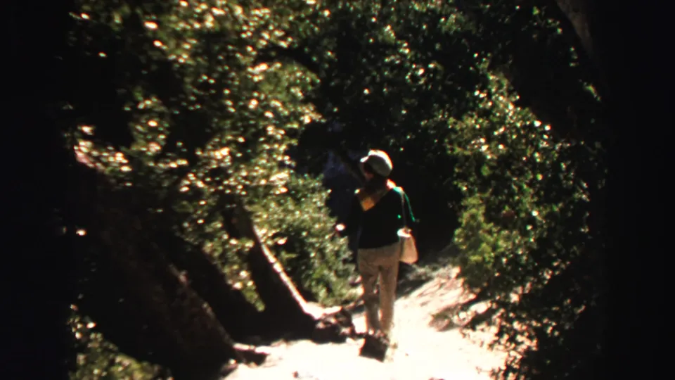 1969 Lake Tahoe 8mm frame with a hiker in a light hat walking on a narrow, sun-dappled forest path.