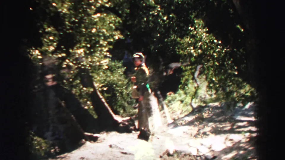 1969 Lake Tahoe hiking footage showing a person standing on a bright forest path under dense tree cover.