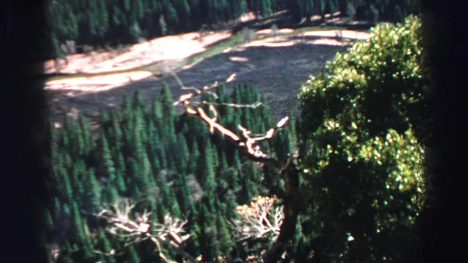 1969 Lake Tahoe home-movie frame showing the lake, pale shore, dense evergreens, and a bare branch in the foreground.