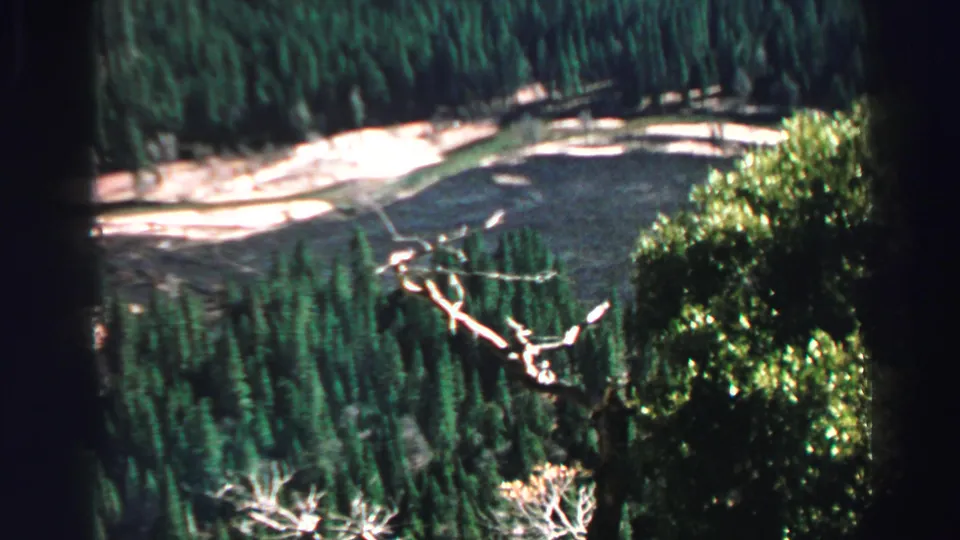 Lake Tahoe, California, in 1969 8mm footage, with evergreens, lake edge, pale shoreline, and sunlit foliage in the foreground.