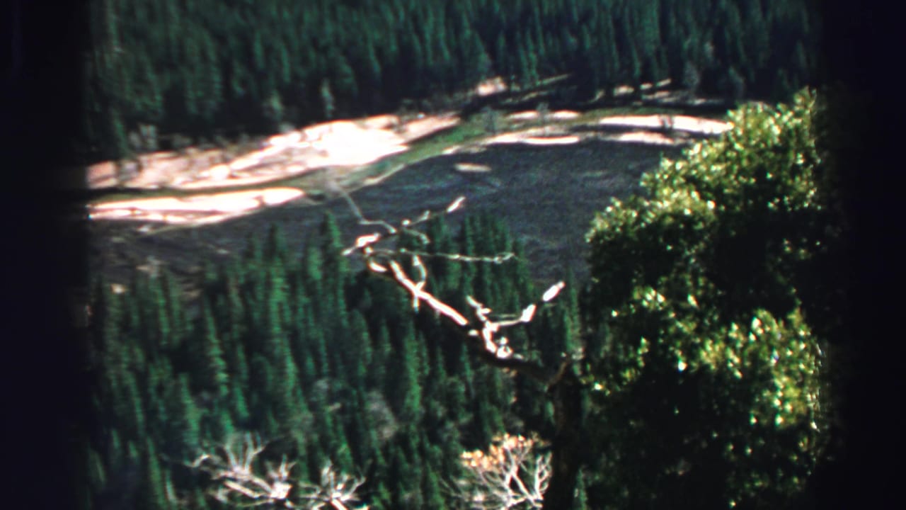 Forested lakeshore seen from above with pale shoreline and dark evergreens.