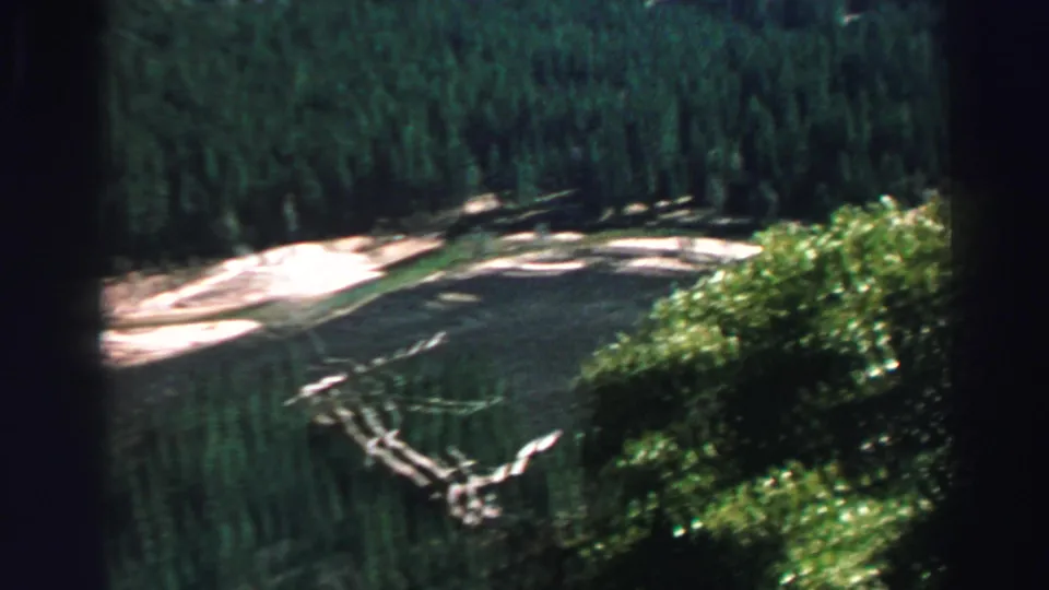 Elevated 8mm view near Lake Tahoe showing a pale shoreline, dark conifers, and leafy branches at the side of the frame.