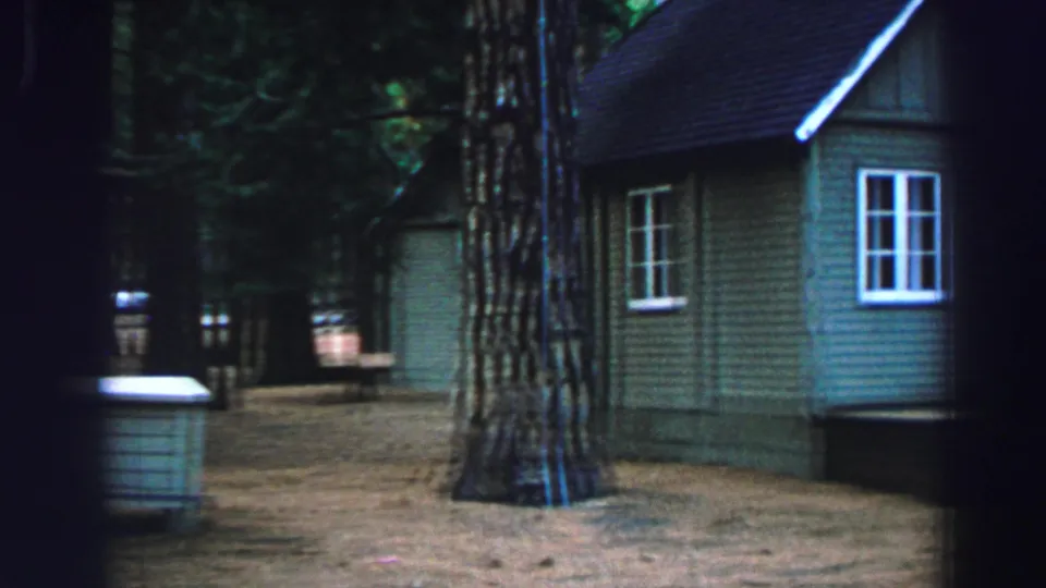 1969 Lake Tahoe cabin exterior with green wooden siding, a white-framed window, tall pine trunks, and dry ground beneath the trees.